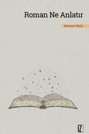 Roman Ne Anlatır Cumhuriyet Dönemi (1920-2000) Türk Romanı Üzerine Tematik Bir Tasnif ve Değerlendirme