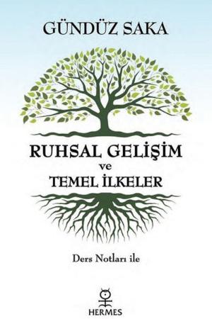 Ruhsal Gelişim ve Temel İlkeler Ders Notları ile