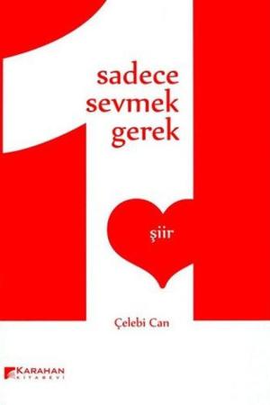 Sadece Sevmek Gerek