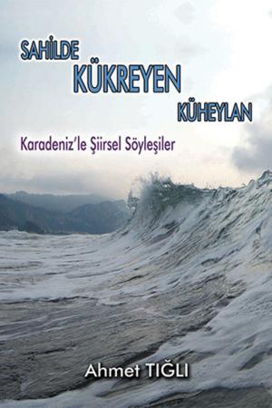 Sahilde Kükreyen Küheylan Karadeniz’le Şiirsel Söyleşiler