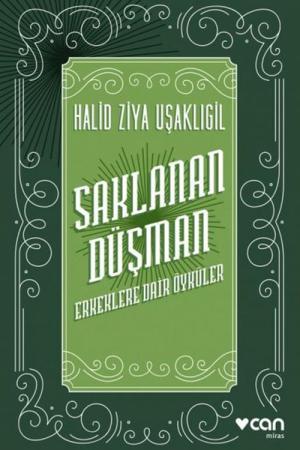 Saklanan Düşman Erkeklere Dair Öyküler