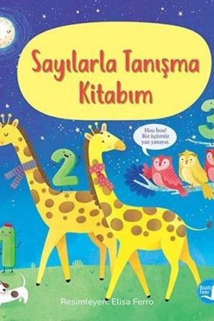 Sayılarla Tanışma Kitabım