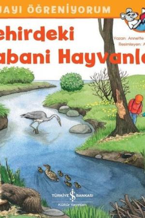 Şehirdeki Yabani Hayvanlar / Dünyayı Öğreniyorum