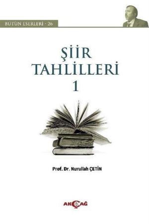 Şiir Tahlilleri 1