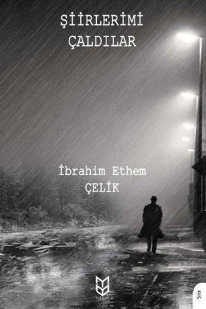 Şiirlerimi Çaldılar