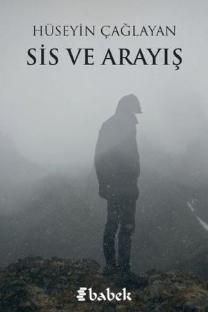 Sis ve Arayış