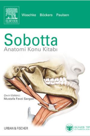 Sobotta Anatomi Konu Kitabı