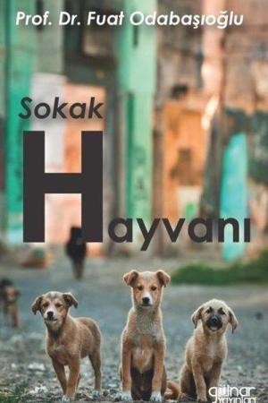 Sokak Hayvanı
