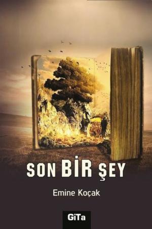 Son Bir Şey