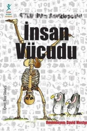 Stem Bilim Ansiklopedisi : İnsan Vücudu