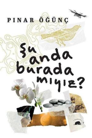 Şu Anda Burada mıyız?