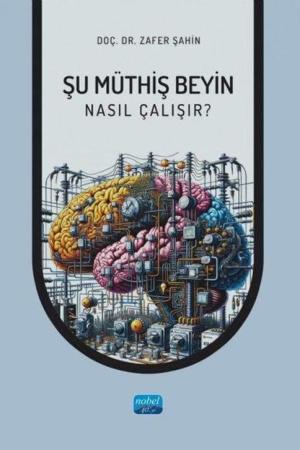 Şu Müthiş Beyin - Nasıl Çalışır?