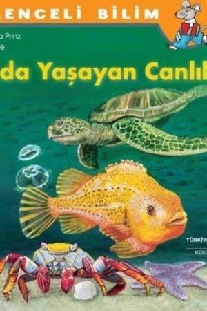 Suda Yaşayan Canlılar / Eğlenceli Bilim