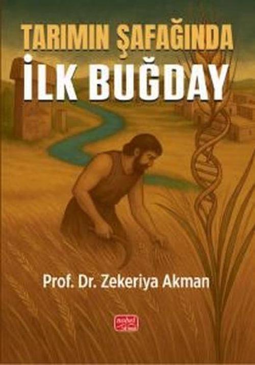 Tarımın Şafağında İlk Buğday