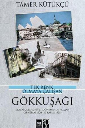 Tek Renk Olmaya Çalışan Gökkuşağı