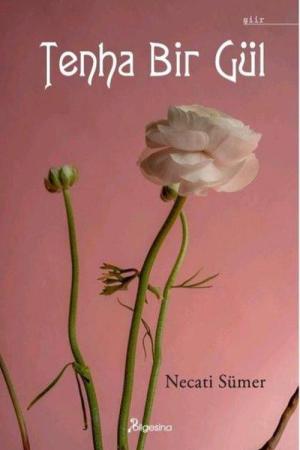 Tenha Bir Gül