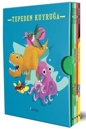 Tepeden Kuyruğa Kutulu Set (4 Kitap Takım)