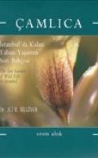 Çamlıca; İstanbul'da Kalan Yaban Yaşamın Son Bahçesi