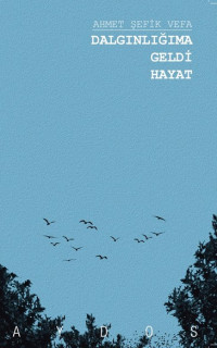 Dalgınlığıma Geldi Hayat