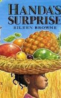 Handa's Surprise (Reading and Math Together)