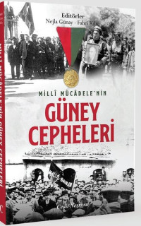 Milli Mücadele'nin Güney Cepheleri