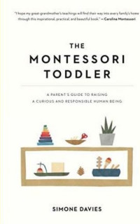 Montessori Toddler