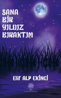 Sana Bir Yıldız Bıraktım