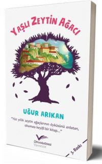 Yaşlı Zeytin Ağacı