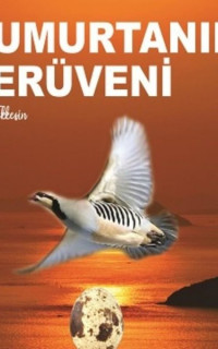 Yumurtanın Serüveni