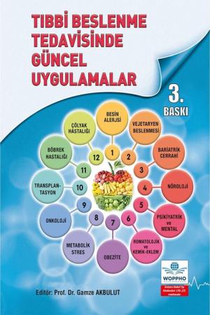 Tıbbi Beslenme Tedavisinde Güncel Uygulamalar