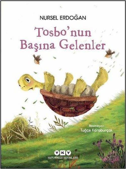 Tosbo’nun Başına Gelenler