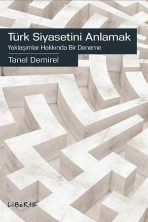 Türk Siyasetini Anlamak