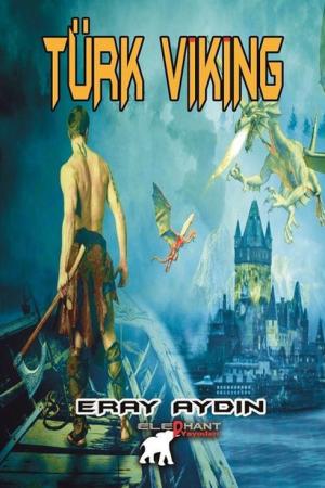 Türk Viking