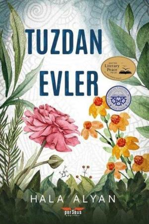 Tuzdan Evler
