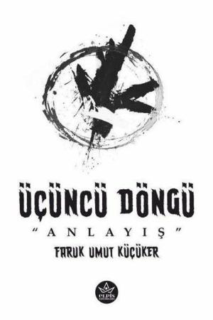 Üçüncü Döngü / Anlayış