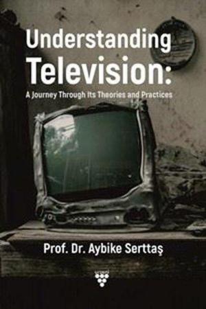 Understanding Television: A Journey Through Its Theories and Practices