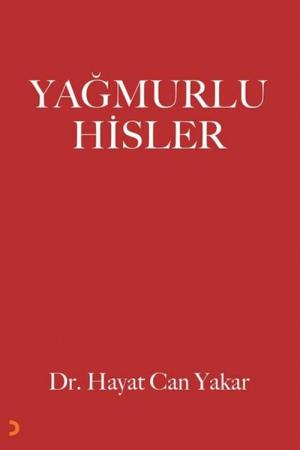 Yağmurlu Hisler