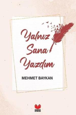 Yalnız Sana Yazdım