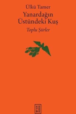 Yanardağın Üstündeki Kuş