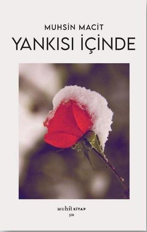 Yankısı İçinde