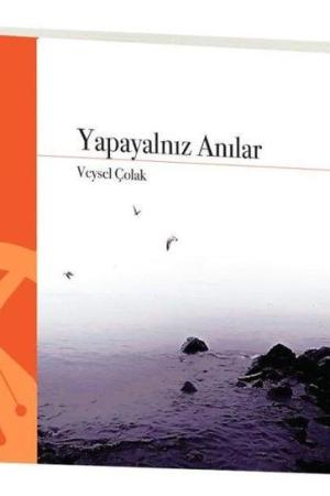 Yapayalnız Anılar