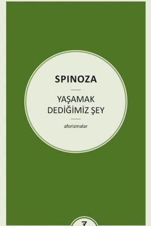Yaşamak Dediğimiz Şey