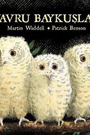 Yavru Baykuşlar