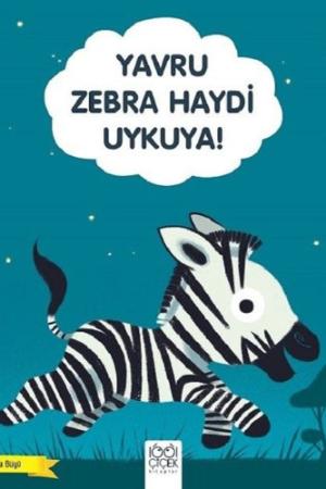 Yavru Zebra Haydi Uykuya!