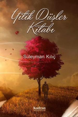 Yitik Düşler Kitabı