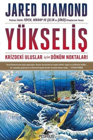 Yükseliş Krizdeki Uluslar İçin Dönüm Noktaları (Karton Kapak)