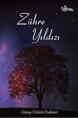 Zühre Yıldızı